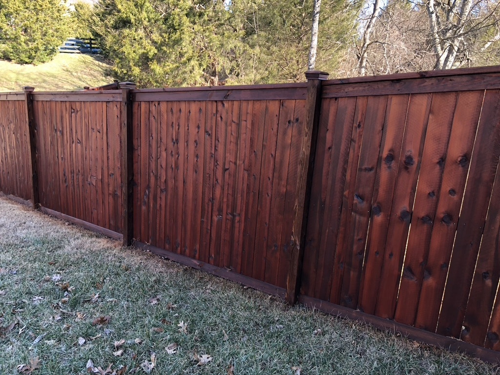 Fence Soft Washing Services in Knoxville, TN